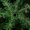 Sztuczna choinka sosna leśna 220 cm jak żywa Royal Trees premium z drewnianym stojakiem