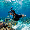 Maska do snorkelingu, nurkowania L/XL pełnotwarzowa z rurką, uchwyt na kamerę, AntiFog, DryTop